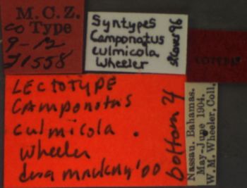 Media type: image; Entomology 21558   Aspect: labels